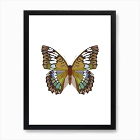 Riodinidae Butterfly Art Print