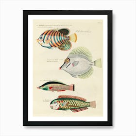 Colourful And Surreal Illustrations Of Fishes Found In Moluccas (Indonesia) And The East Indies, Louis Renard(41) Art Print