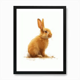 Florida White Rabbit Nursery Illustration 2 Art Print