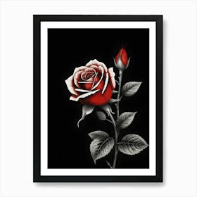 Red Rose On Black Background 1 Art Print