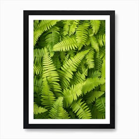 Pattern Poster Button Fern 4 Art Print