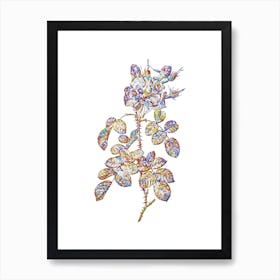 Stained Glass Four Seasons Rose in Bloom Mosaic Botanical Illustration on White Art Print