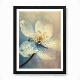 Pastel Nature Macro No 15 Art Print