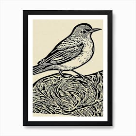 Hermit Thrush Linocut Bird Art Print