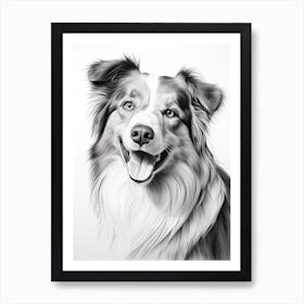 Australian Shepherd Dog, Line Drawing 3 Art Print