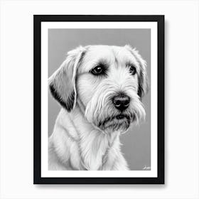 Border Terrier B&W Pencil Dog Art Print