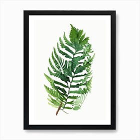 Polypodium Fern Watercolour Art Print