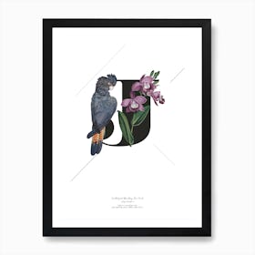 Botanical Alphabet J Art Print