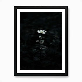 White Flower In The Dark 14 Art Print