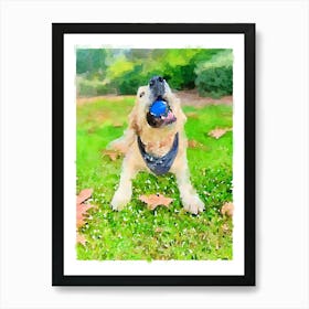 Golden Retriever Playing With A Ball Art Print