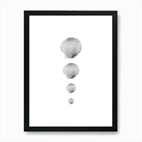 Seashell Collage Art Print