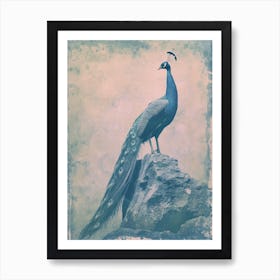 Vintage Turquoise Peacock On A Rock Photography Style 2 Art Print