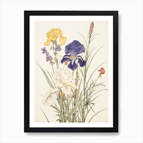 Ayame Japanese Iris 4 Vintage Japanese Botanical Art Print