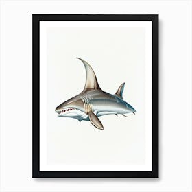 Bull Shark Vintage Art Print