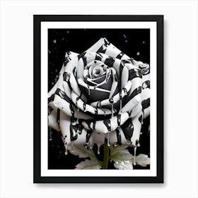 Black And White Rose 7 Art Print