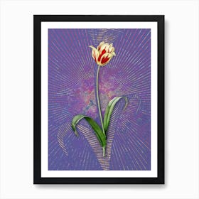 Vintage Didier's Tulip Botanical Illustration on Veri Peri n.0315 Art Print