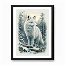 Arctic Fox 3 Art Print