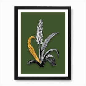 Vintage Eucomis Punctata Black and White Gold Leaf Floral Art on Olive Green n.0396 Art Print
