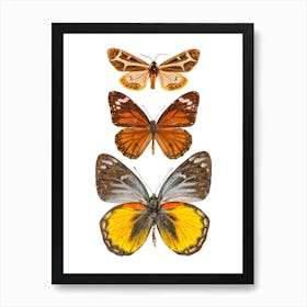 Row Of 3 Orange And Yellow Butterflies Art Print