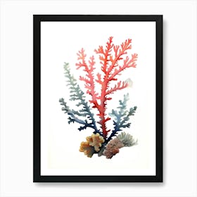 Acropora Nasuta 2 Vintage Graphic Watercolour (6) (1) Art Print