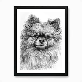 Pomeranian Line Sketch 3 Art Print