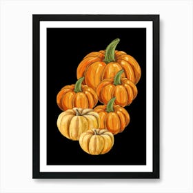 Pumpkins On Black Background Poster