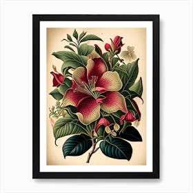 Mandevilla Floral Botanical Vintage Poster Flower Affiche