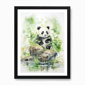 Panda Art Painting Watercolour 1 Art Print