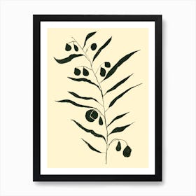 Eucalyptus Art Print