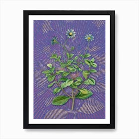 Vintage Blue Marguerite Plant Botanical Illustration on Veri Peri n.0263 Art Print