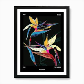 No Rain No Flowers Poster Bird Of Paradise 4 Art Print