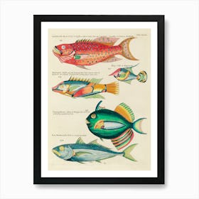 Colourful And Surreal Illustrations Of Fishes Found In Moluccas (Indonesia) And The East Indies, Louis Renard(67) Art Print