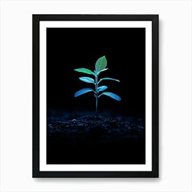 Green Plant On A Black Background 4 Art Print