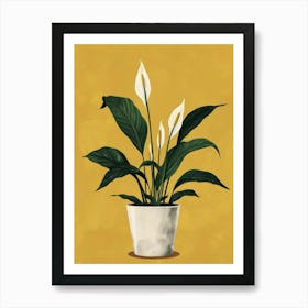 Peace Lily 2 Art Print