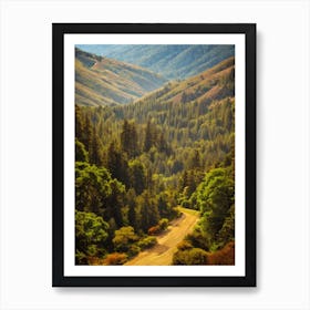 Muir Woods National Park 2 United States Of America Vintage Poster Art Print