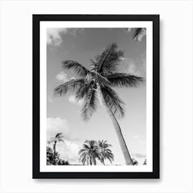 The Perfect Palm Art Print