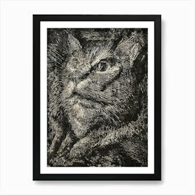 Cat By Person Art Print