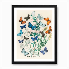 Butterflies Canvas Print Art Print