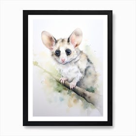 Light Watercolor Painting Of A Ringtail Possum 4 Art Print