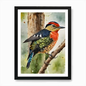 Buff Rumped Woodpecker Art Print