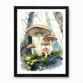 Mushrooms In The Forest Poster