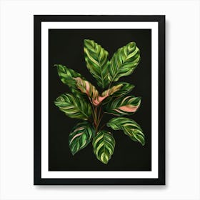 Cactus 36 Art Print