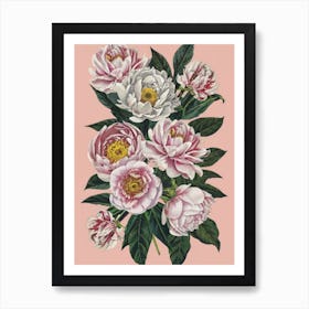 Pink Peonies Art Print