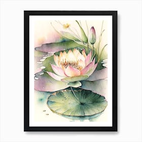 Blooming Lotus Flower In Pond Watercolour Ink Pencil 1 Art Print