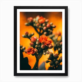 Poster Flower Art Print 21 Art Print