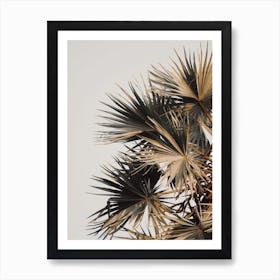 Summer Palms Art Print