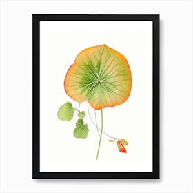 Nasturtium Leaf Art Print