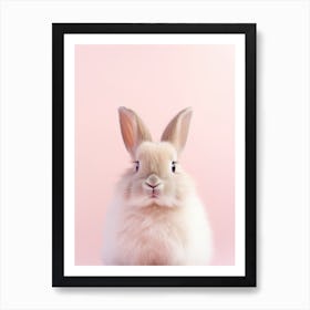 Rabbit On A Pink Background Art Print