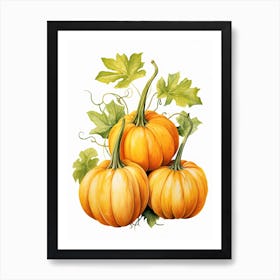 Lumina Pumpkin Watercolour Illustration 4 Art Print