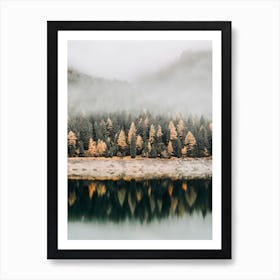 Forest Along Lake Art Print